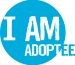 Reflections on the Adoptee Journey